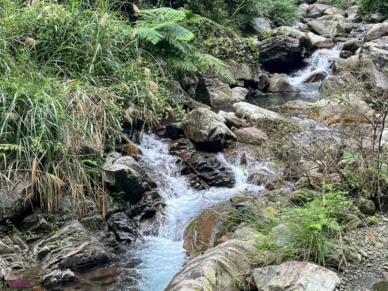 唐麻丹蝴蝶谷登山步道｜和平區台中市–谷關七雄老么欣賞原始森林風貌、順遊蝴蝶谷瀑布