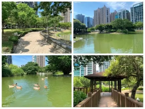 竹北 - 讓人悠閒放鬆的 水圳森林公園