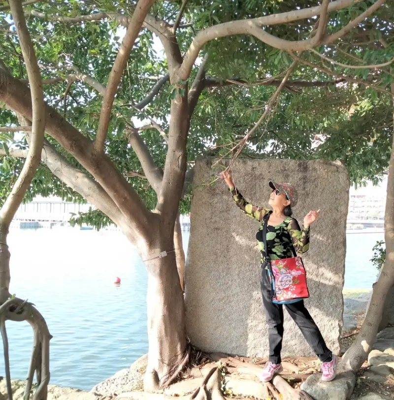 桃園景點-龍潭觀光大池(龍潭湖) -南天宮、觀光吊橋、環湖步道-戲水健身休閒的好去處