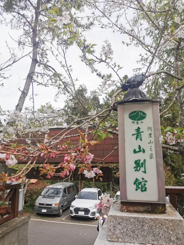 嘉義。阿里山》阿里山青山別館+早起玉山看不到的日出