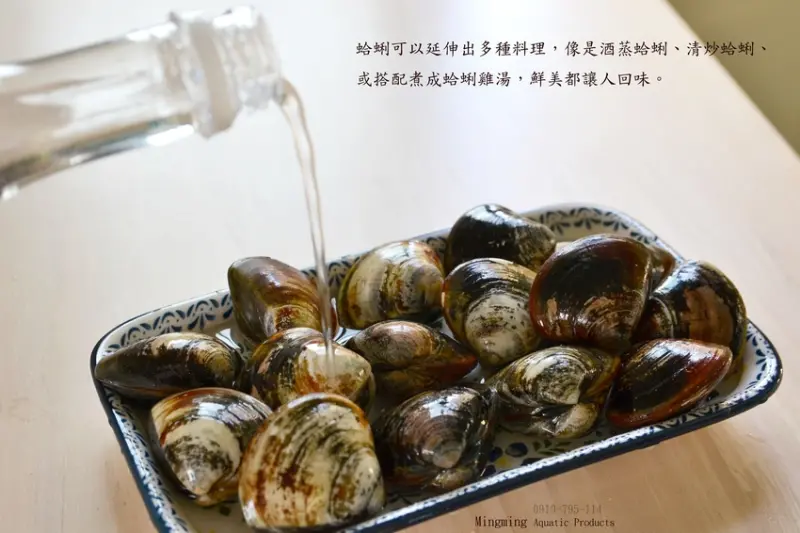 【明明水產】SGS 黑金剛蛤蜊 無漂白(批發零售買賣直營商) 