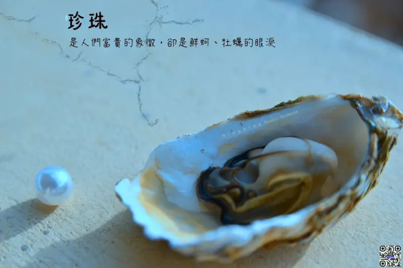 【明明水產】中秋碳烤東石生蠔 ※生蠔購買10斤送1斤