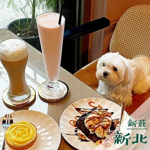 獨角獸Unicorn Cafe&Bar｜新莊咖啡廳兼酒吧推薦 @neru.foodie / 丸の良食