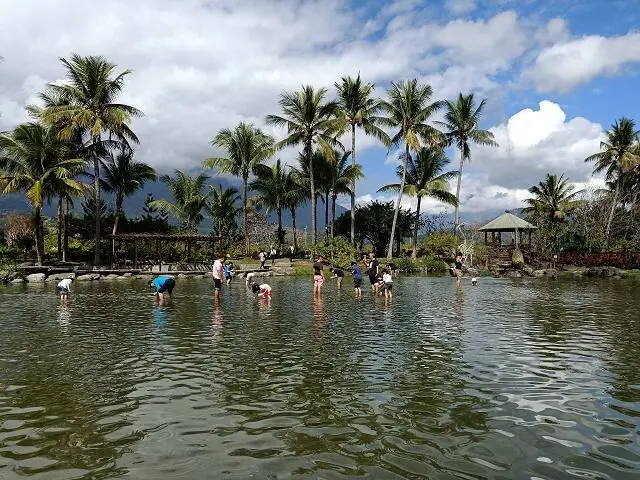 立川漁場~~花蓮親子景點．體驗摸蜆兼洗褲的樂趣．品嚐鮮美可口的黃金蜆
