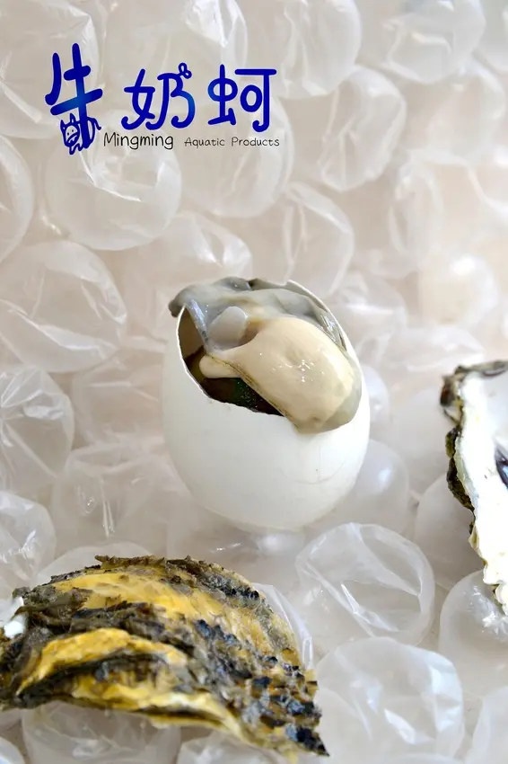 批發零售各式海鮮~烤肉食材~東石第一首選