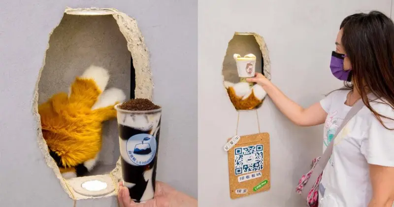 【臺南美食】另類飲料店｜沒有店員及菜單｜有毛茸茸貓掌幫你送飲料陪猜拳｜仙草凍飲｜OREO仙草凍鮮奶~伴君耘_仙草洞 - 南人幫