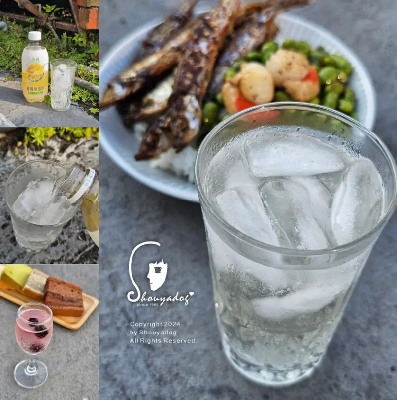 【健康機能飲】永禎 香檬氣泡飲 低卡好喝氣泡飲分享 炎夏解渴必備