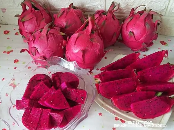 南投松柏嶺產地直送【大紅果園】紅肉火龍果 營養豐富甜度高 現在品嚐正著時哦！