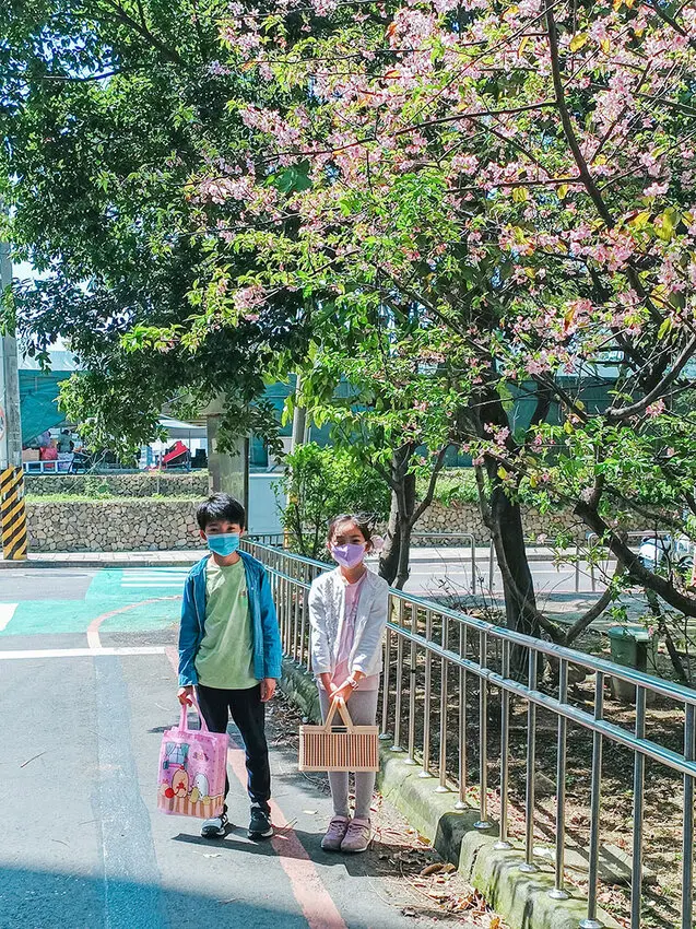 新竹公園野餐趣！快抓住櫻花祭最後的賞櫻時機 ft.米玥麻糬堂