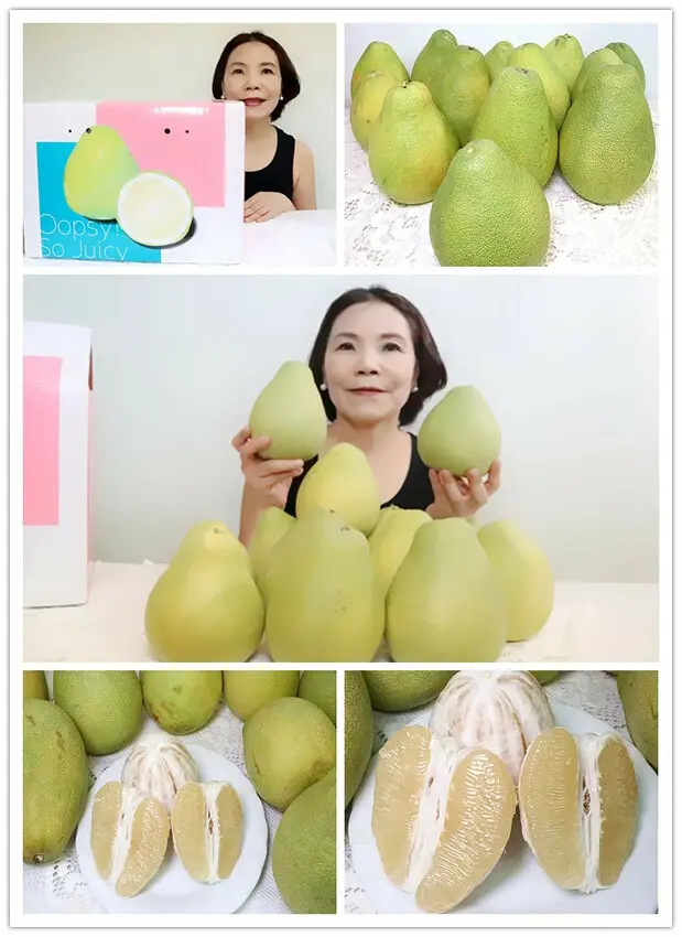 老欉文旦哪裡買｜庄稼狼商務級麻豆老欉文旦｜草生栽培麻豆老欉文旦，老欉文旦怎麼挑｜文旦宅配訂購推薦｜中秋文旦禮盒｜老欉文旦分辨｜中秋柚子｜文旦怎麼挑