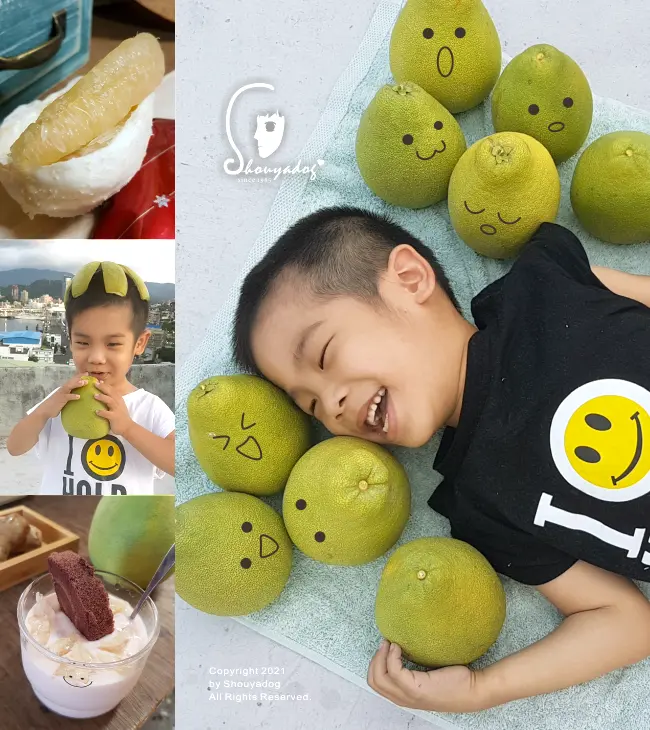 【新鮮水果】老欉文旦怎麼挑 庄稼狼來告訴你 大小朋友都愛的中秋文旦禮盒