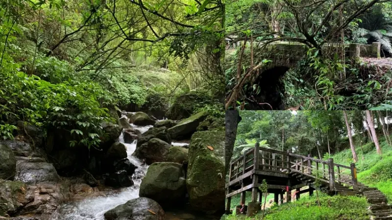 新竹橫山｜騎龍古道｜懷舊古意.清涼感滿載的溪水古道