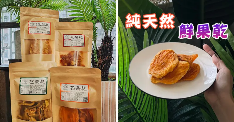 【台南伴手禮】玖益果乾／送禮首選6種天然果乾／無添加物純天然果乾／台南芒果乾推薦