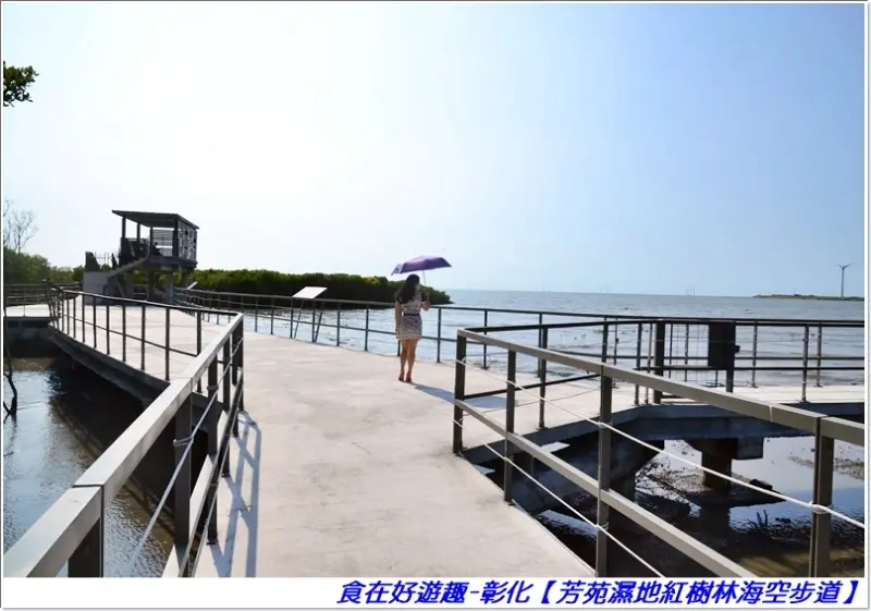彰化景點-芳苑濕地紅樹林海空步道，有濕地生態，還有潮汐以及夕陽美景跟賞鳥平台，生態美景就是值得一遊 !!