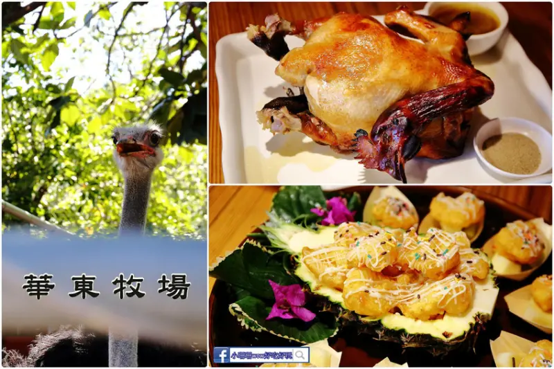【食。花蓮】華東牧場〜動物園裡吃烤雞？！花蓮隱藏版的烤雞！沒預約至少要1小時….