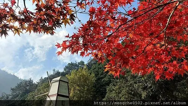 蟬說：鳳凰亭序-和到山中小木屋享用豪華晚餐超大木桶泡熱水澡看滿天星星