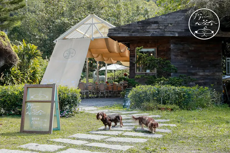 【坪林/餐廳、咖啡廳】與自然共生，茶園邊的玻璃屋早午餐-心茶合一 TeaFlow