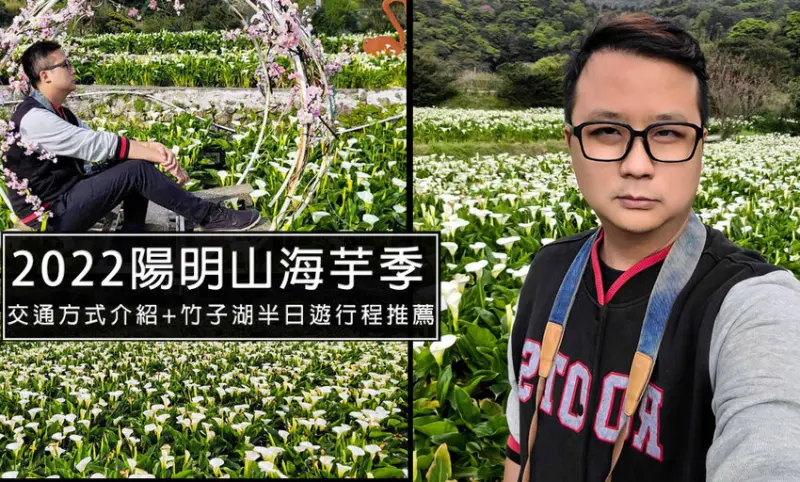 2022陽明山海芋季開跑~陽明山海芋交通報你知!陽明山竹子湖半日遊，竹子湖最新花況(2022/3/10)