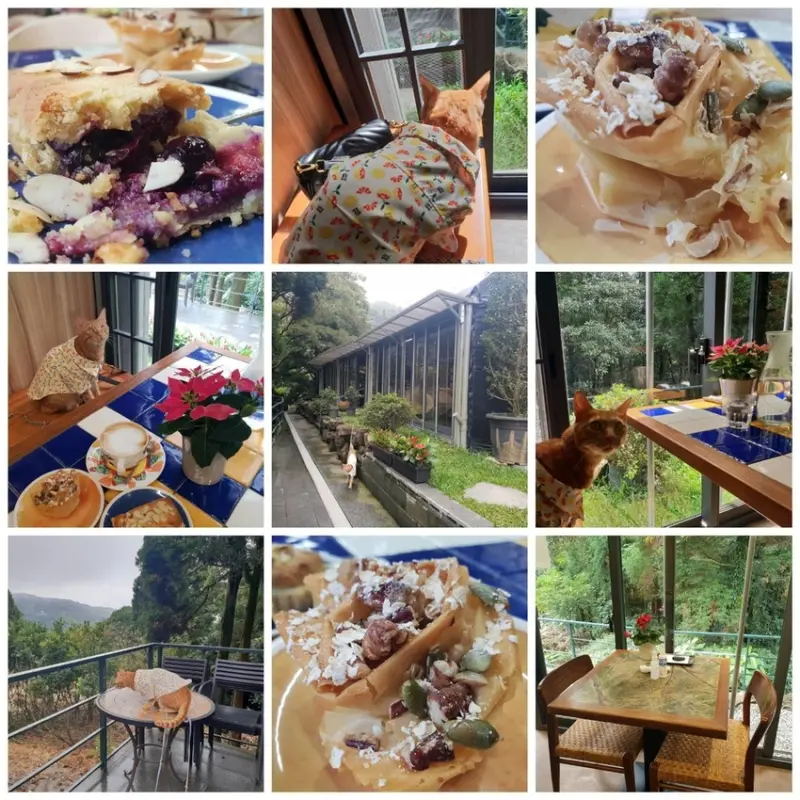 【台北.陽明山】寵物友善下午茶甜點推薦。小丘咖啡屋森林系咖啡館+超美味甜點推蜂蜜酥餅