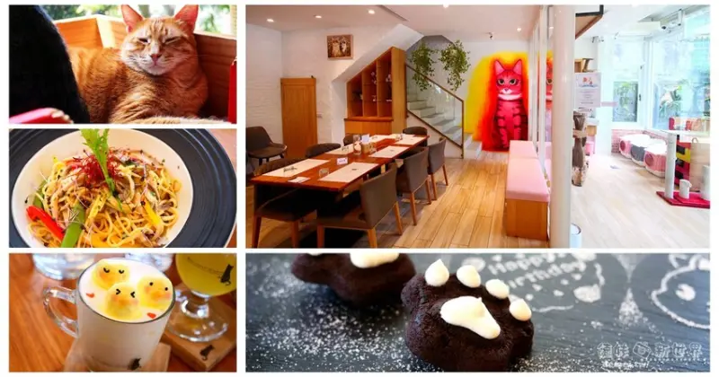 桃園市龍潭區【野薑花與貓】景觀庭園餐廳│專屬擼貓互動區│獨特野薑花創意料理 - 德妹看新世界