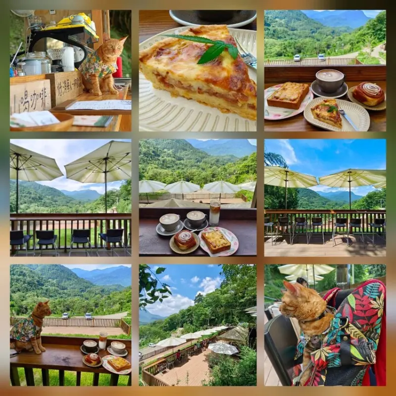 【新竹.橫山】上山喝咖啡+逃學步道。寵物友善。有view+只開假日推肉桂捲+鹹派+咖啡+鹹豬肉厚片