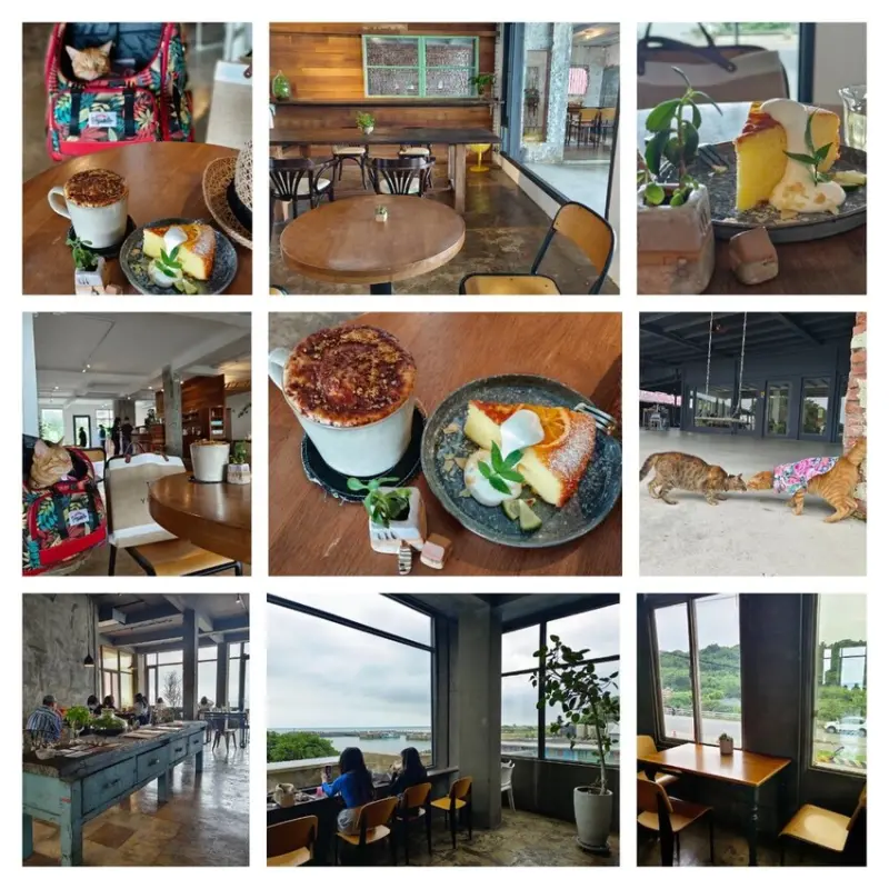 【台北.三芝】北海岸預約制海景咖啡廳推薦。我們在海邊。下午茶套餐咖啡+蛋糕套組。寵物需提籠或推車