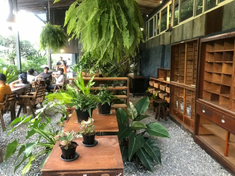 陽明山 野人花園 SAVAGE GARDEN