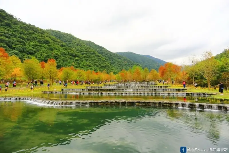 宜蘭礁溪|三層坪農塘-9層疊瀑超吸睛全國首創階梯式農塘|免門票免費景點|IG熱門打卡點|落羽松林環抱|黃金楓