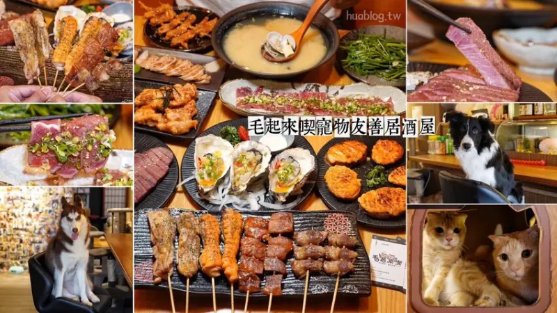 【毛起來喫寵物友善居酒屋】新竹竹北串燒居酒屋推薦！除了單點，還提供單人、雙人套餐可以選擇，更還有供應寵物鮮食！宵夜新選擇～(寵物友善餐廳/停車方便) - 阿華田的美食日記