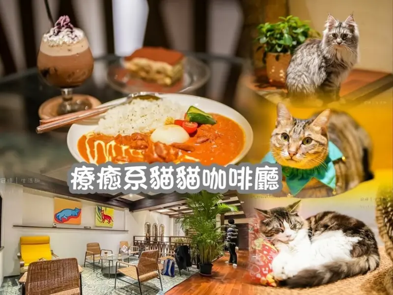 【招財咖啡】新竹北區美食/咖啡廳，療癒系貓貓相伴啖美食，高評價濃郁系咖哩、提拉米蘇│菜單