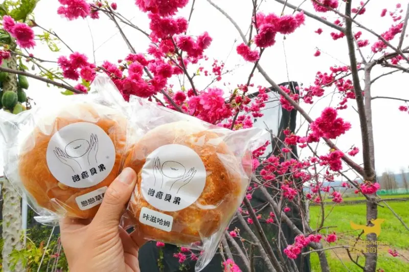 台中美食 │ 治癒貝果 賞櫻必備美食 網友超推療癒系下午茶點心 跳躍式出沒市集的秒殺美味