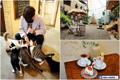 貓奴的天堂！新竹巷弄內超美老宅咖啡廳，享受被10隻喵店長包圍超療癒〜