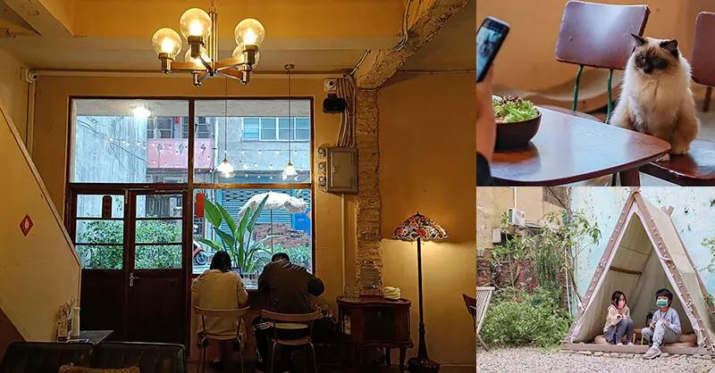 貓嶼 Cat Island 新竹老屋改造的貓咪咖啡廳