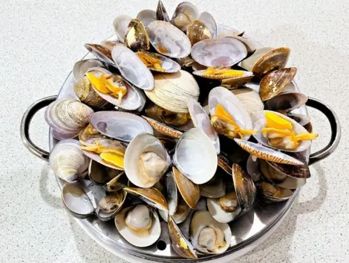 【二月牌沙茶爐】新莊溫體牛溫體豬｜巨大蒸籠海鮮塔｜新北新莊人氣汕頭火鍋