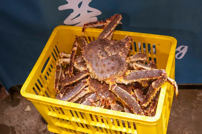 水產商自己開的火鍋店有多新鮮，「比臉還大帝王蟹」一次吃到爽！