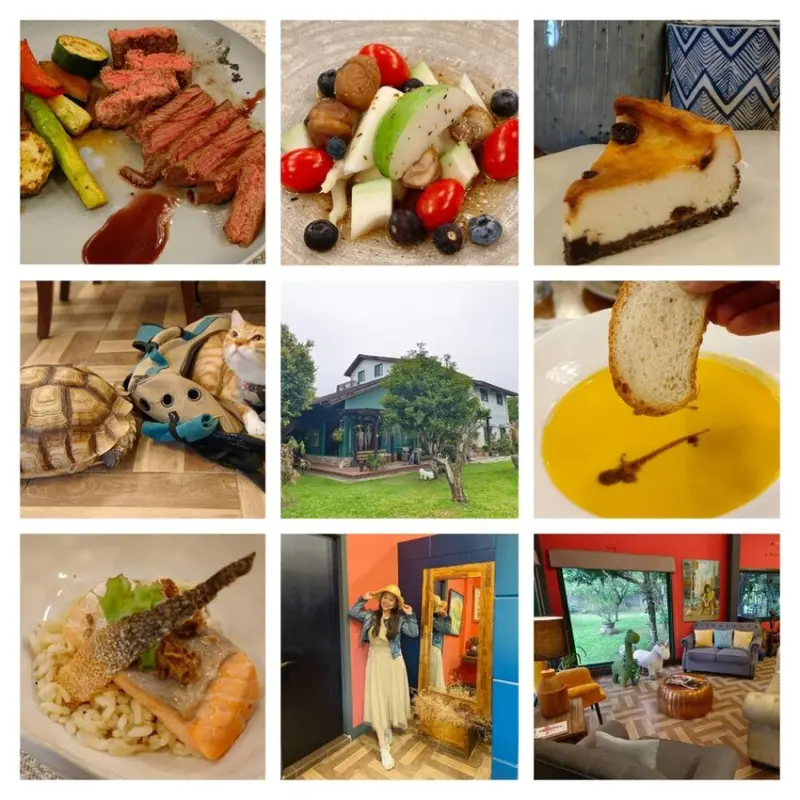 【桃園.平鎮】隱身別墅之中的私廚料理。山腳私廚友善寵物餐廳。一個餐期只接待一組顧客超尊榮體驗