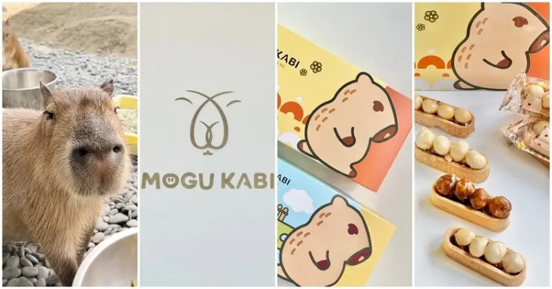 台南也有水豚！超萌水豚店長駐店中【MOGU KABI 夏威夷豆塔專賣店】   台南美食│台南伴手禮│台南旅遊│台南甜點│成大美食│台南景點