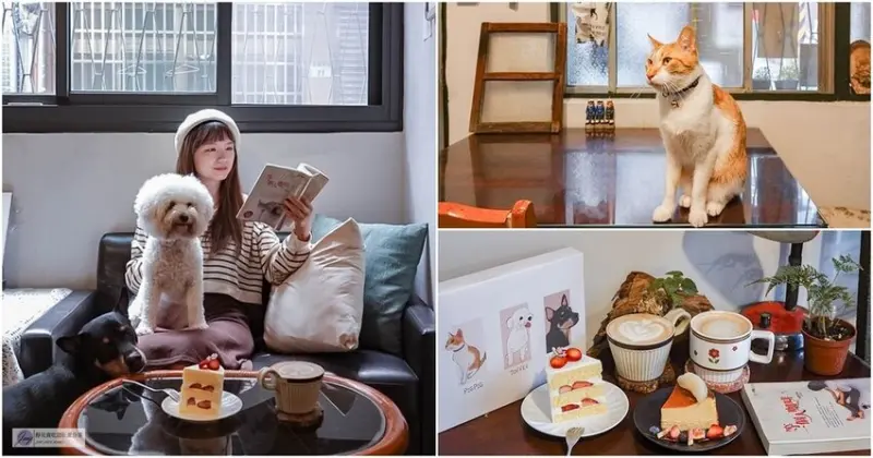 桃園美食-露室-隱藏在小巷尾的復古懷舊不限時老宅咖啡廳/甜點 咖啡 飲品/鄰近風禾公園/寵物友善