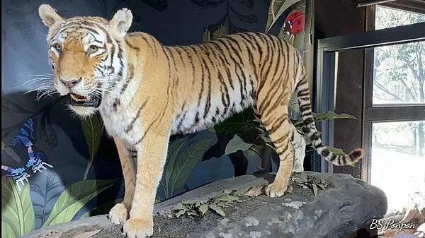 台灣昆蟲館-新竹館