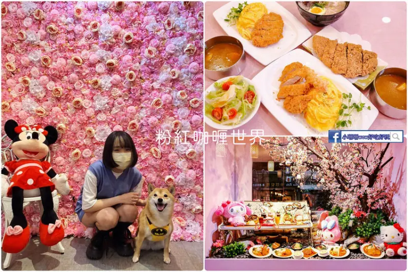 永和新開幕咖哩飯，近永和國父紀念館，浪漫花牆拍照打卡送薯條，IG必收！