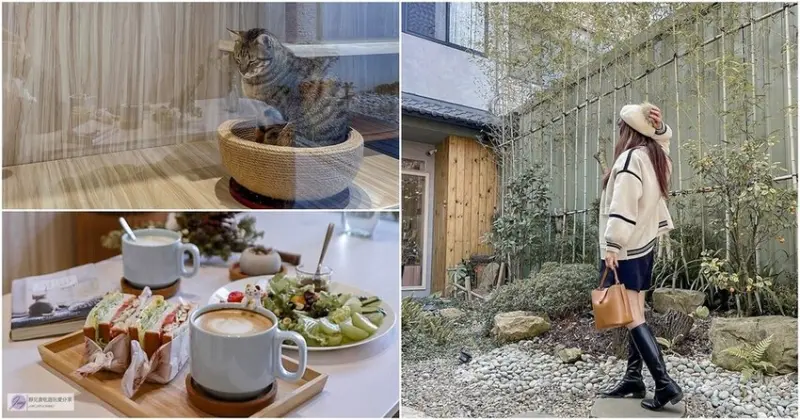 桃園中壢美食-紓咖-隱身小竹林庭園的貓咪咖啡廳/輕食 甜點 咖啡/鄰近內壢火車站/寵物友善