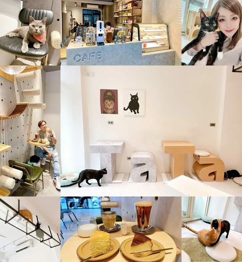 [美食] 踏踏咖啡 x 養憩動物血液中心 ♥ 新竹竹北人氣貓貓咖啡廳 大口享受吸貓的樂趣 ♥ 貓奴絕對不能錯過的貓咪下午茶 HERE ლ(´ڡ`ლ)