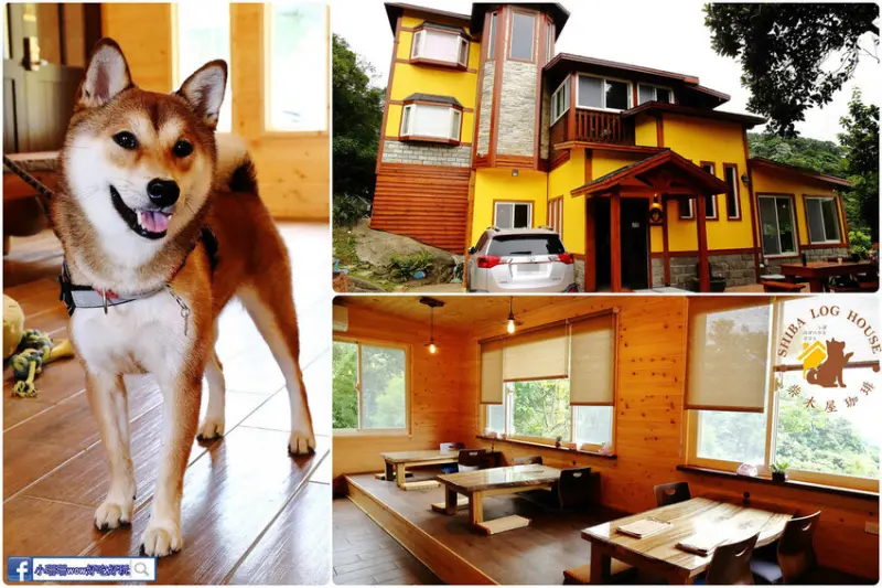 隱藏在悠閒恬靜山林裡的歐式黃色小屋，佔地大、還有大片草皮，萌犬陪吃，一起來吸狗！