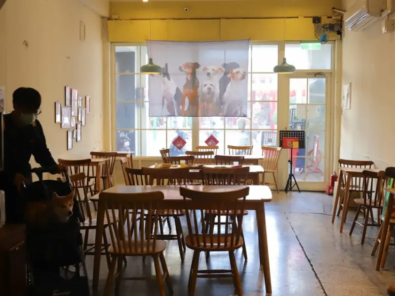 浪浪別哭 (台南店)：台南流浪貓狗動物中途餐廳，無論你是狗派、貓派，都可在這邊享受被貓狗圍繞的快樂用餐食光/台南寵物餐廳推薦.開放毛孩認養 - 進食的巨鼠