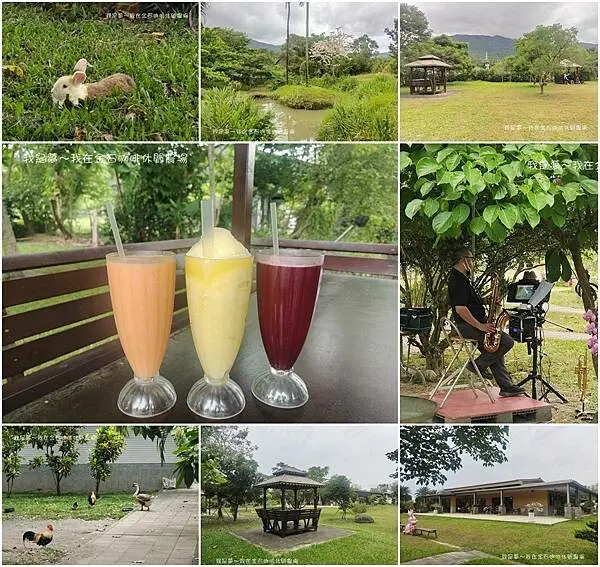 『屏東。金石咖啡休閒農場』～戶外景觀咖啡／可愛小動物／現場演奏