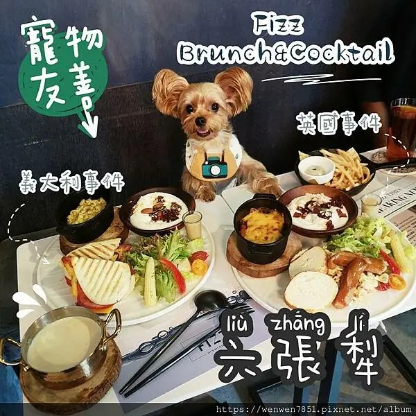 《台北捷運-六張犁站》Fizz Brunch&Cocktail｜寵物友善酒吧推薦，寵物友善早午餐推薦，六張犁氣氛極佳早午餐，下班小酌的好去處