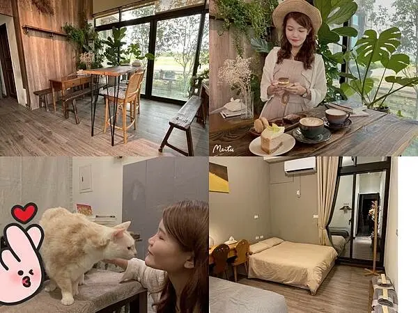 金門住宿開箱【白貓民宿：慢活金門住這裡】熱愛慢遊生活旅人。首選白貓民宿｜療癒貓咪｜恬靜空間。充電之旅