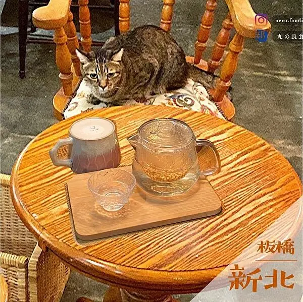 ハーフ珈琲 hafu coffee｜新埔貓貓咖啡廳推薦 @neru.foodie / 丸の良食