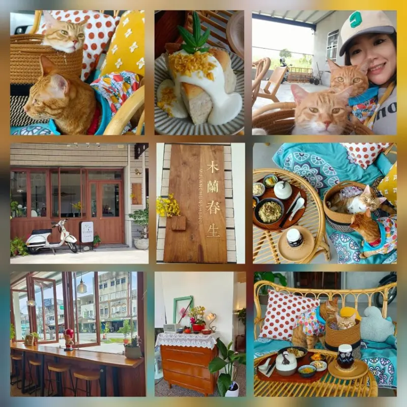 【宜蘭】木蘭春生寵物友善餐廳。文青中式小吃+甜點+咖啡+滿滿的愜意感