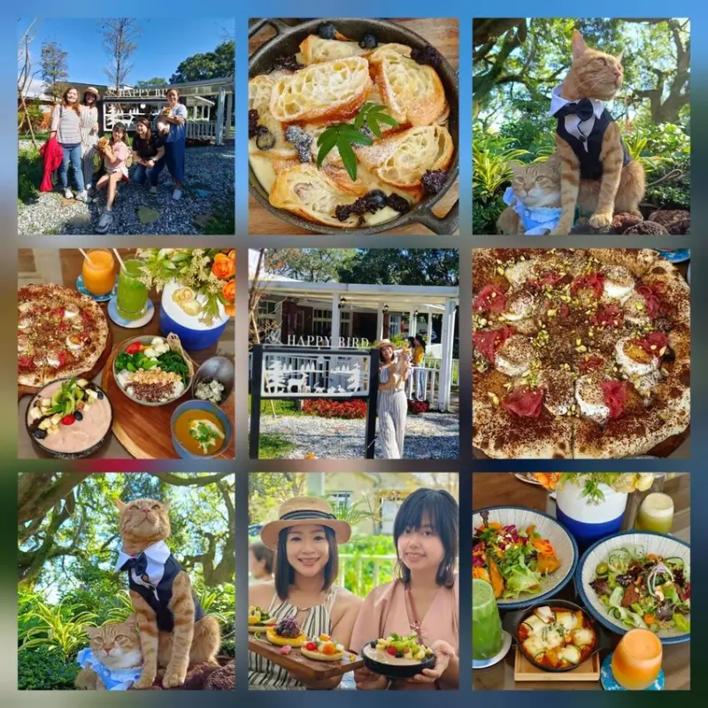 【台北.士林】陽明山蔬食餐廳推薦。快樂鳥蔬食餐廳。寵物友善可落地不能坐椅子。開心果棉花糖比薩